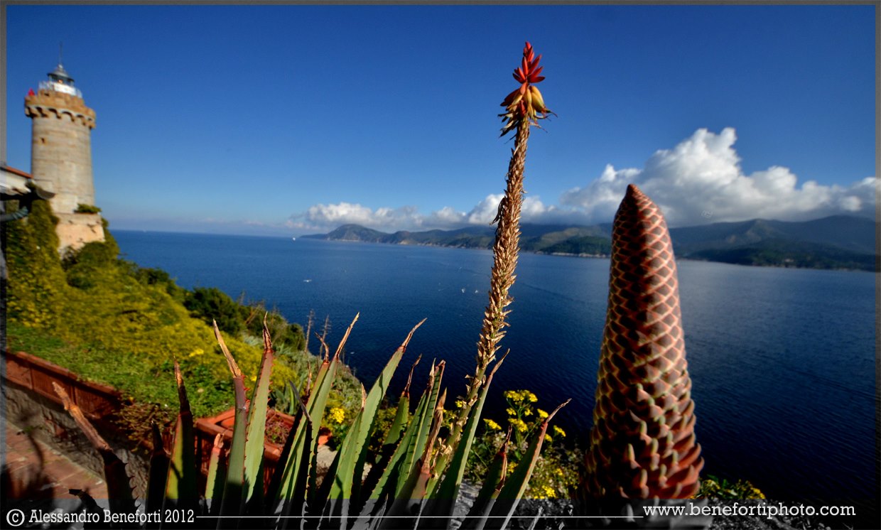 foto frl giorno 22 Febb