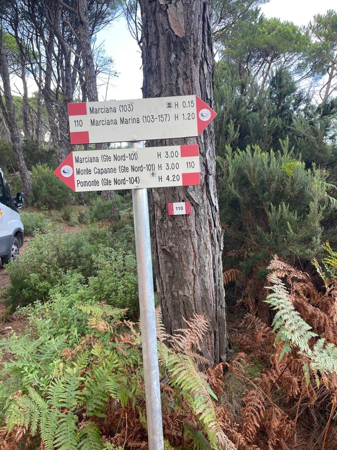 manuetnzione sentieri 3