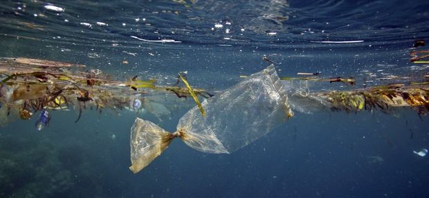 Plastica in galleggiamento co