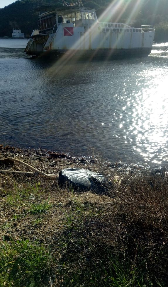 degrado mola pesce e nave