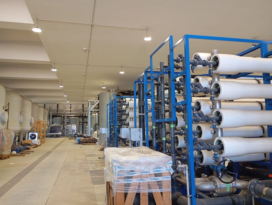 dissaltore mola 2025 3