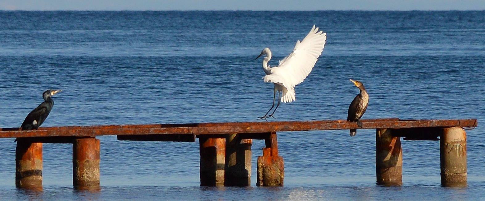 17572115 10211077631488085 875120327 o