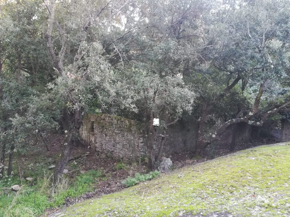 49686267 342790566307048 2485650908822634496 n