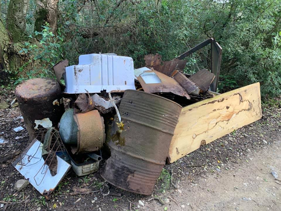 145716808 10217848822988437 6467222721272975547 n