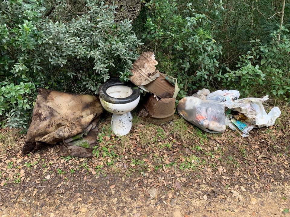 146244091 10217848821828408 1732481426250193754 n