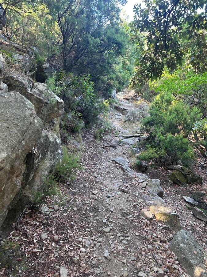 manutenz sentieri 105