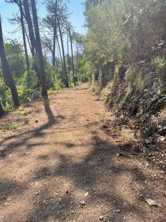 sopralluogo GTE 5 agosto