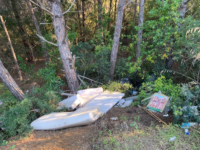 rifiuti strada per norsi (2)