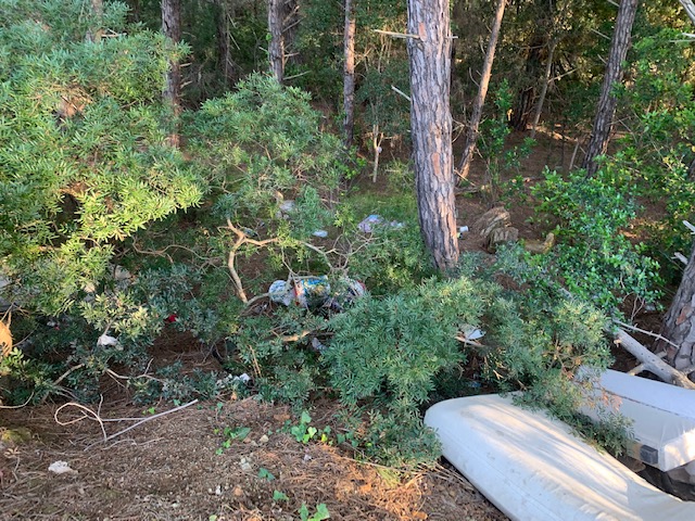 rifiuti strada per norsi (3)