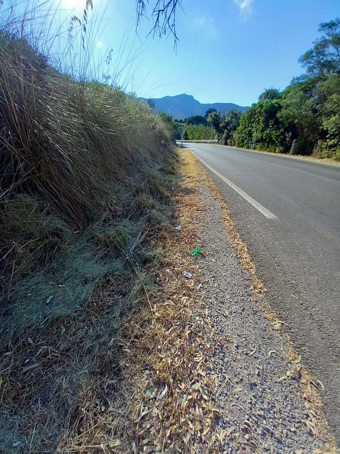 Rifiuti strade 10 2025