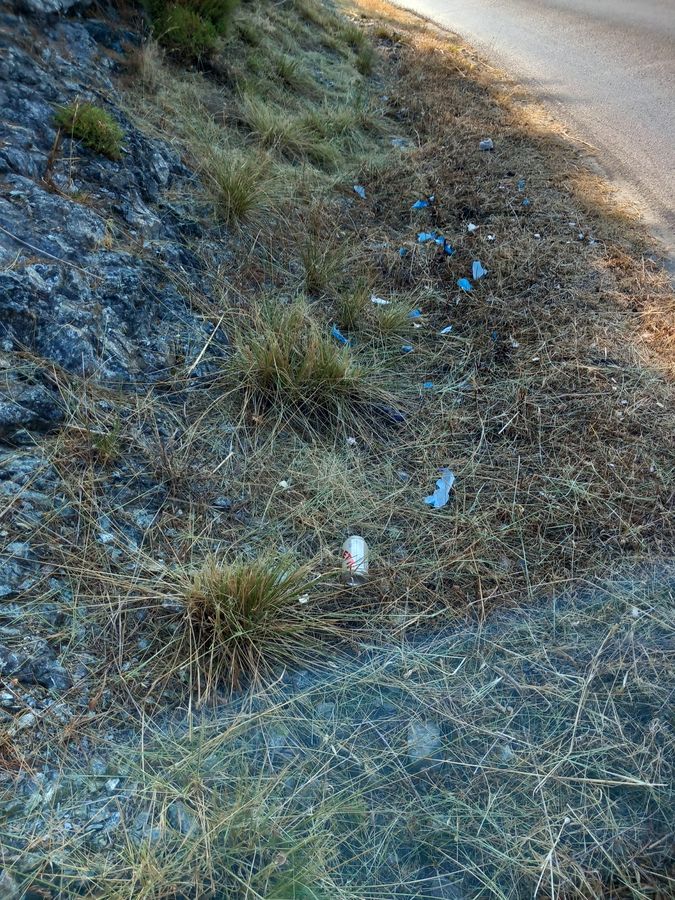 Rifiuti strade 12 2025