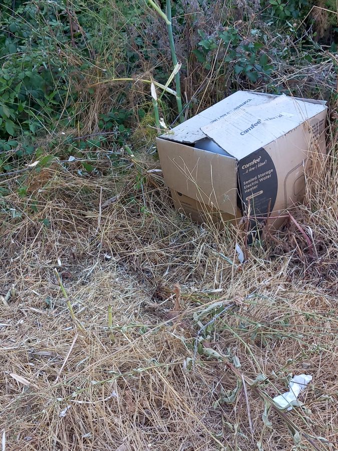 Rifiuti strade 13 2025