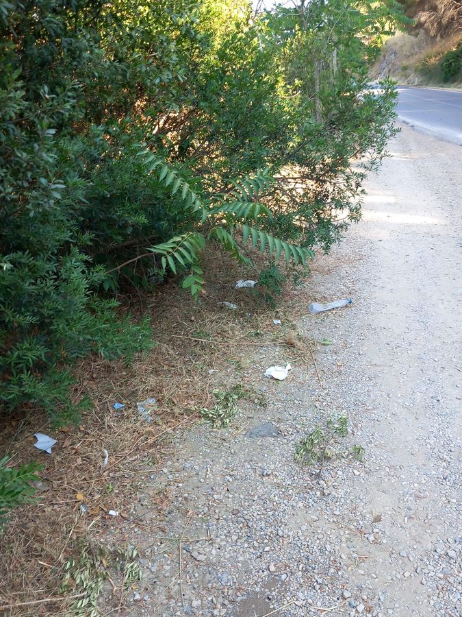 Rifiuti strade 2 2025