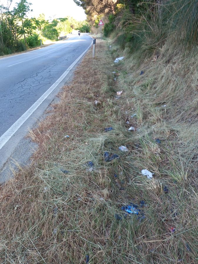 Rifiuti strade 4 2025