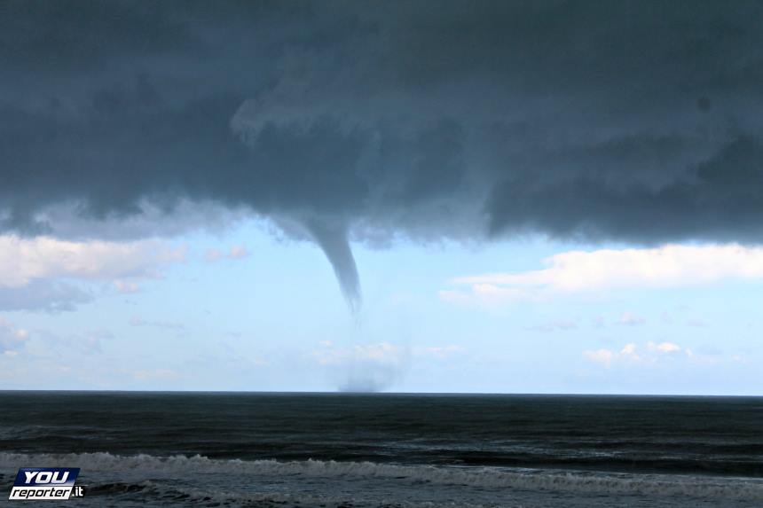 tromba marina florio imparata 2