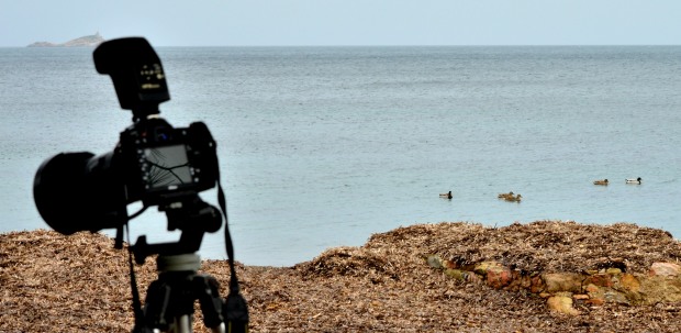 aircenge31012017 043