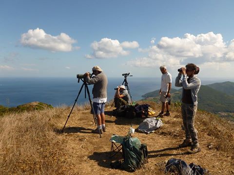 10561610 10204672974535161 3410945911163451498 n