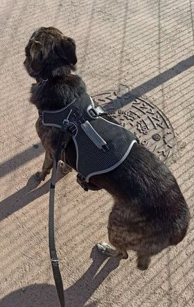 241388922 3058265811160023 4451024685559610062 n