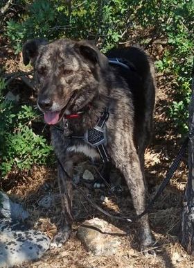 241489976 1341686386247902 4466203779422467980 n