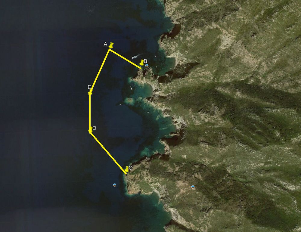 ALL 1 ordinanza 1 2021 Capraia