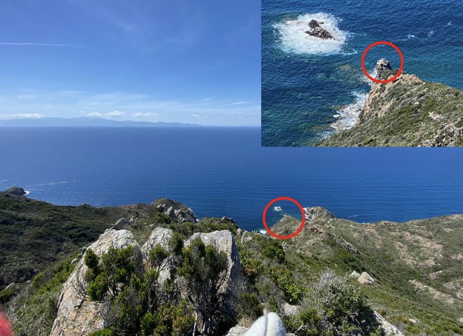 Contesto nidificazione  2021-05-05 alle 08.33.58