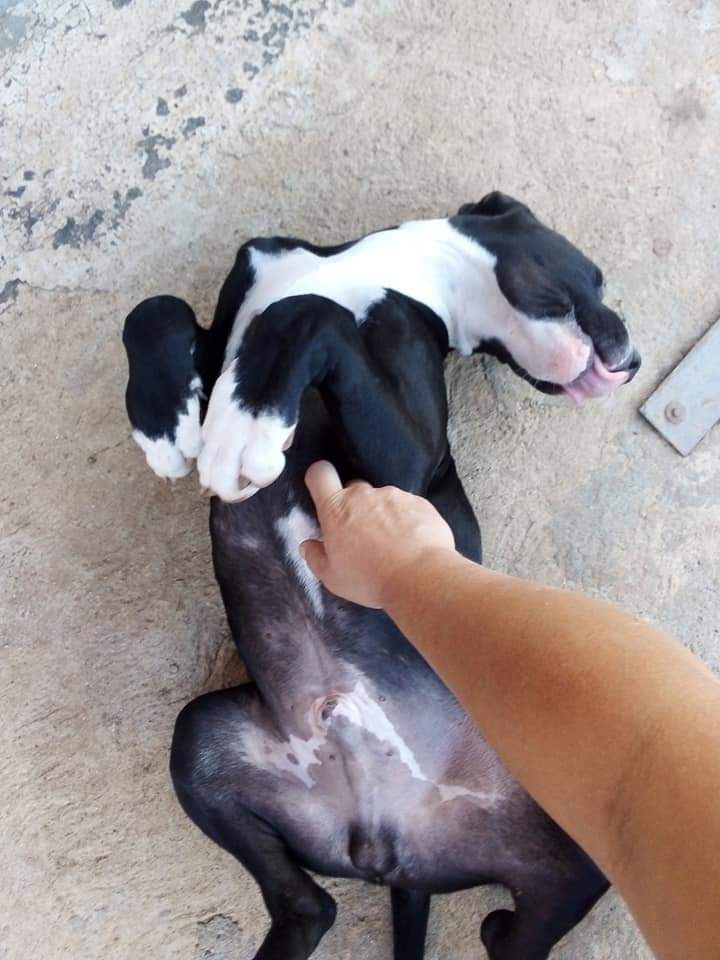 FB IMG 1603447257618