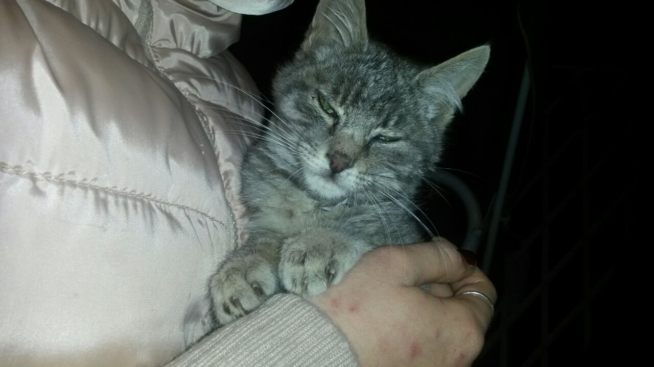 IMG-20150222-WA0002 (1)