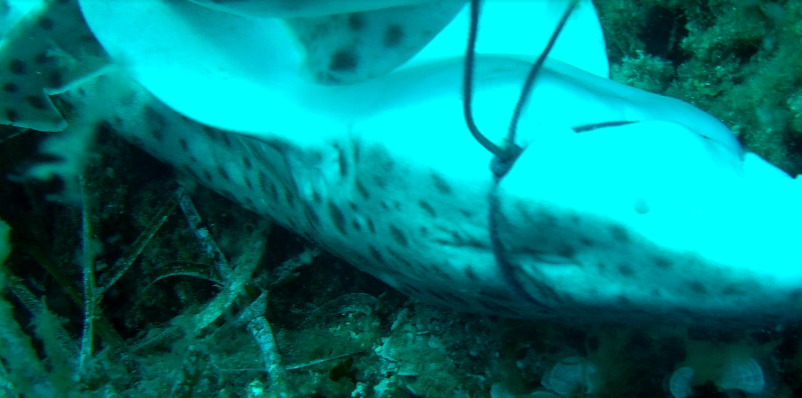 IMG 20220724 WA0008 (1)