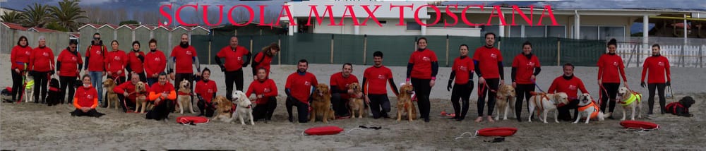 279107101 517951143371398 6448169728695719489 n