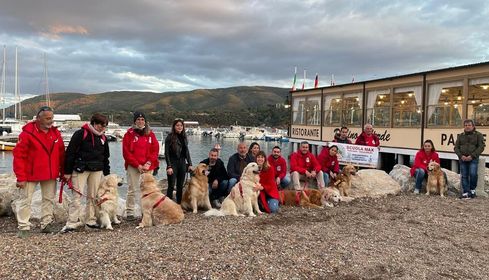 279179122 668104377591813 174307357844273063 n