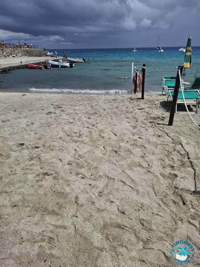 Tartaruga Sant'Andrea nido 3