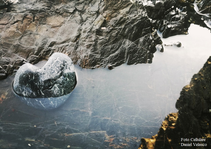 Foto Cellulare Daniel Velasco