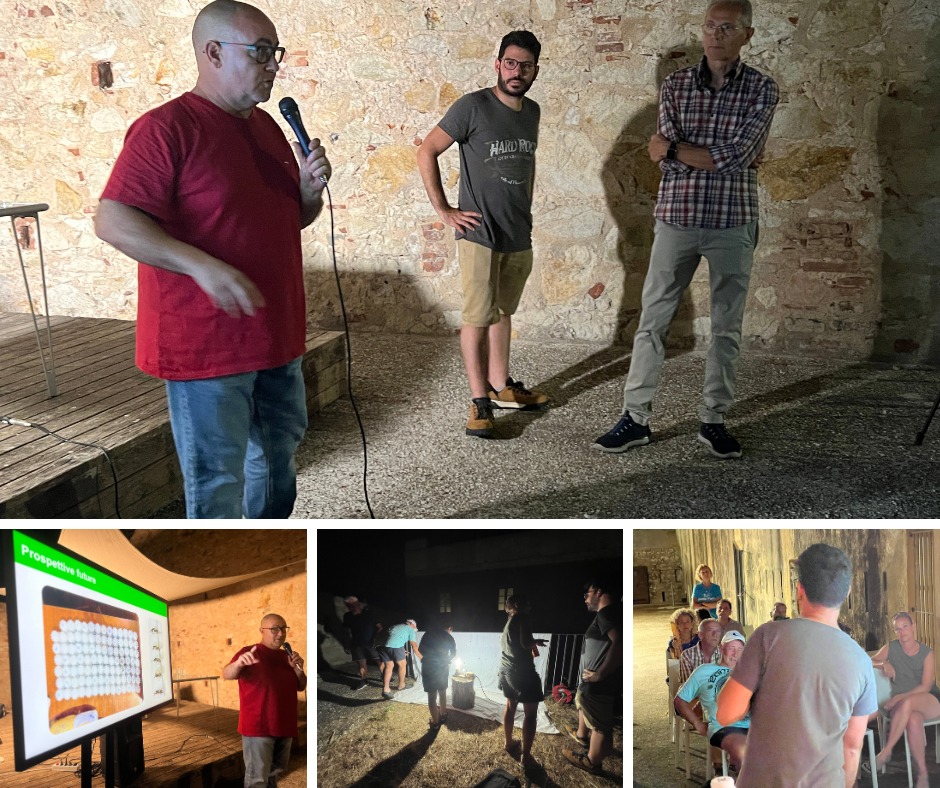 formiche arcipelago (8)