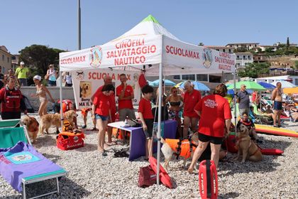 293217238 577315080734322 3693816780540022913 n