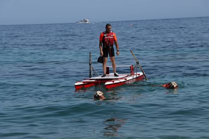 293400122 1630057834017405 8065768197281328757 n