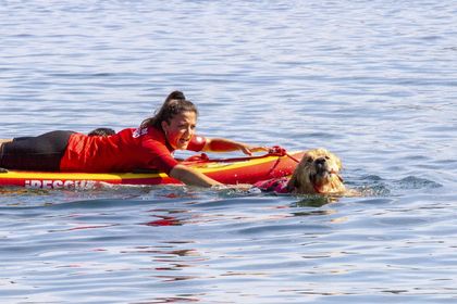 293562141 333789598826092 1251485375310803391 n