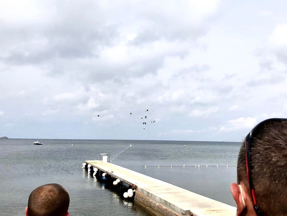 stormo gru fabricia 1