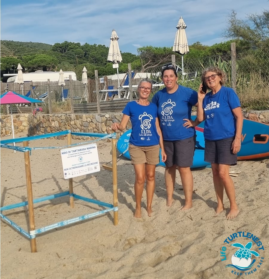 tartaruga Lacona bis 0