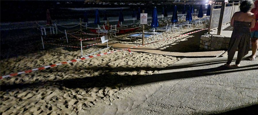 tartaruga Campo all'Aia 3