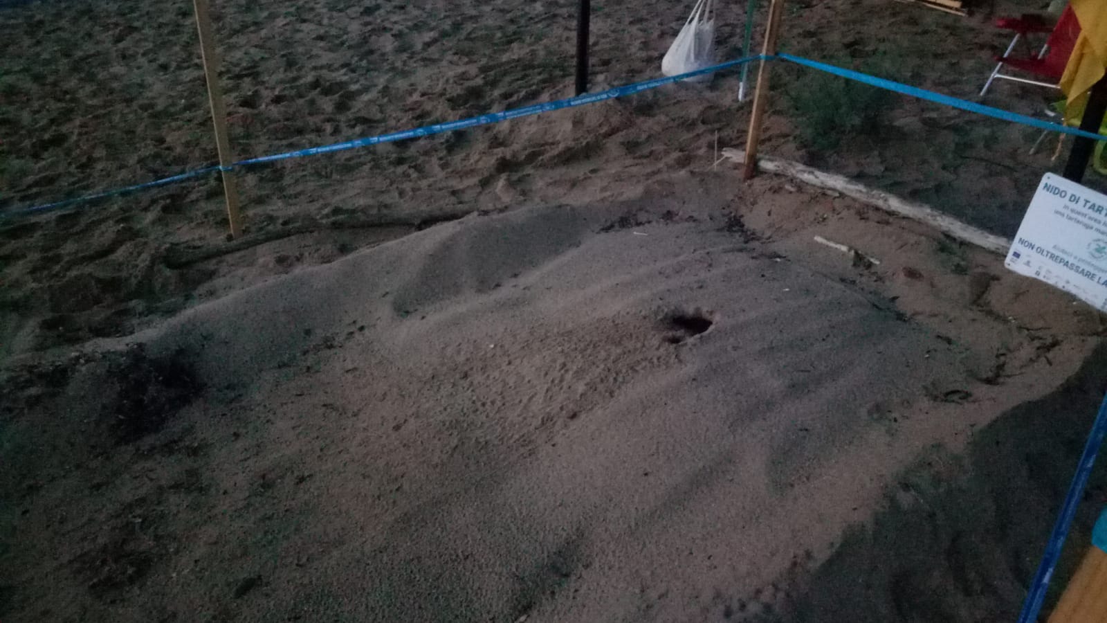 tartarughine galenzana 6