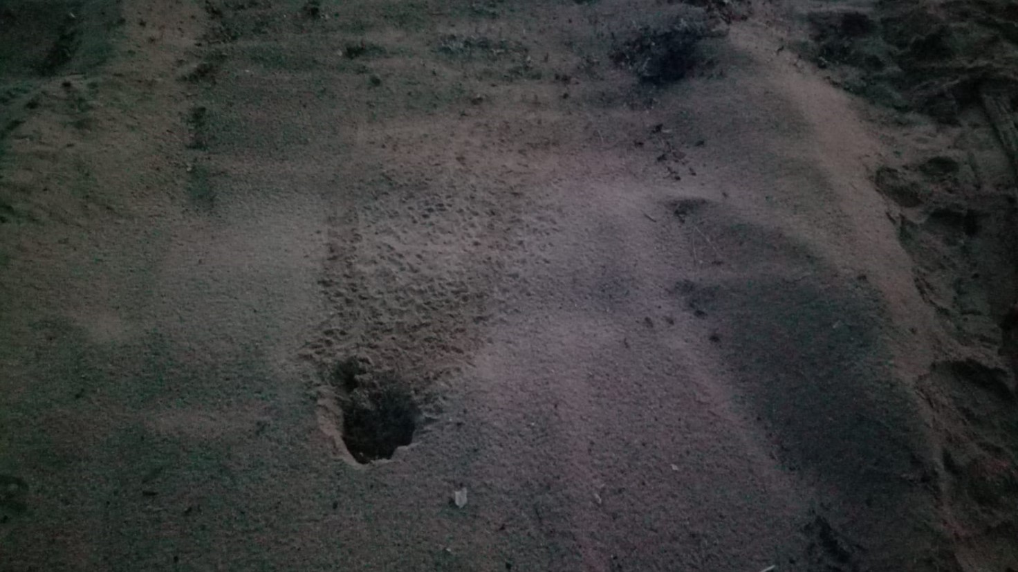 tartarughine galenzana 8