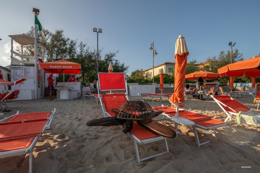 tartarughe polesi (1)