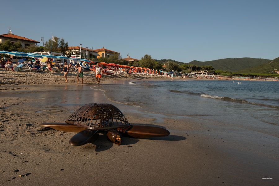 tartarughe polesi (5)