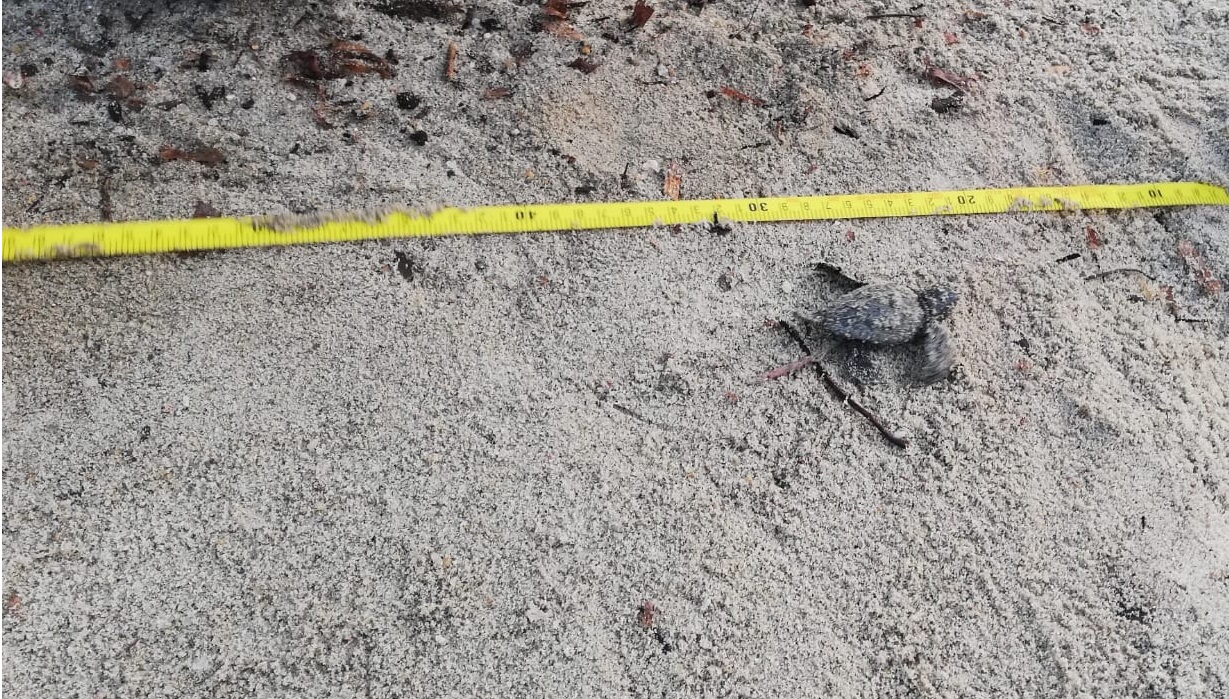 307035569 10225196682256882 7856069881575265614 n