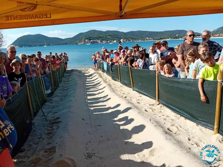 apertura nido Marina di Campo 2