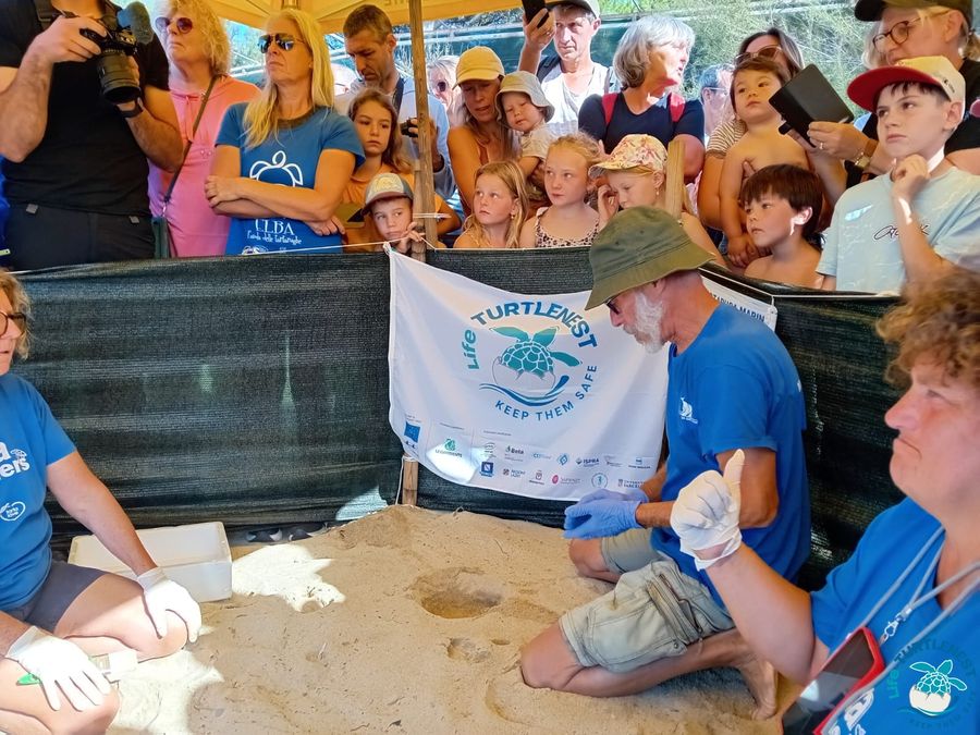 apertura nido Marina di Campo 5