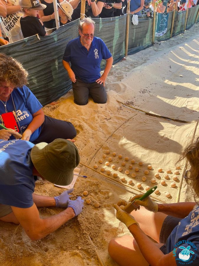 apertura nido Marina di Campo 6