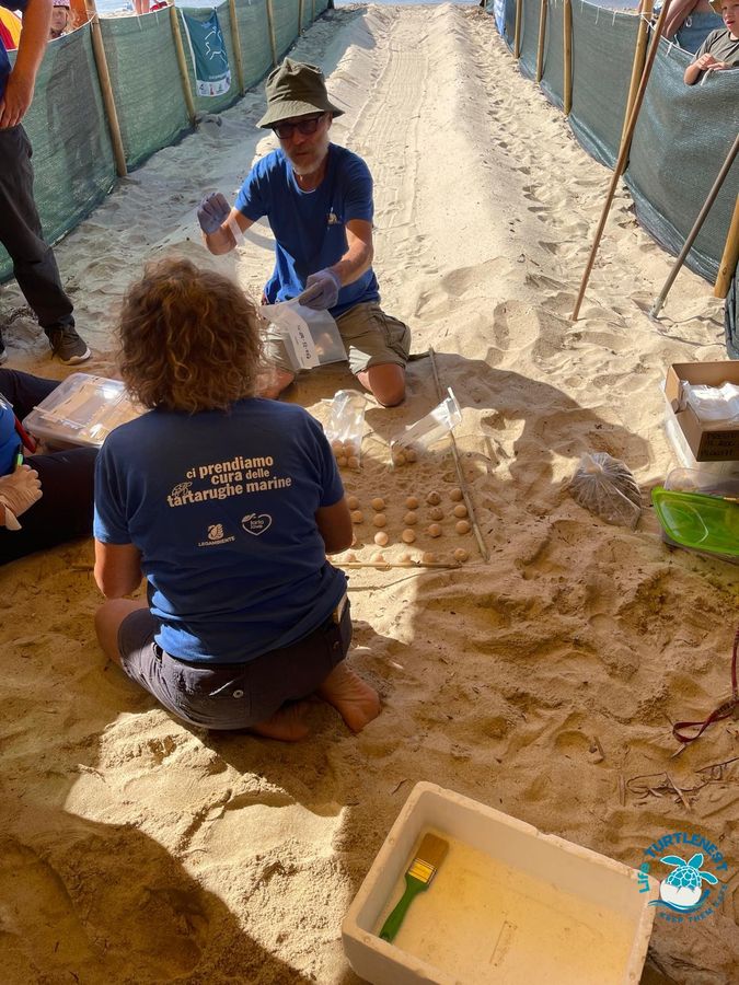 apertura nido Marina di Campo 7