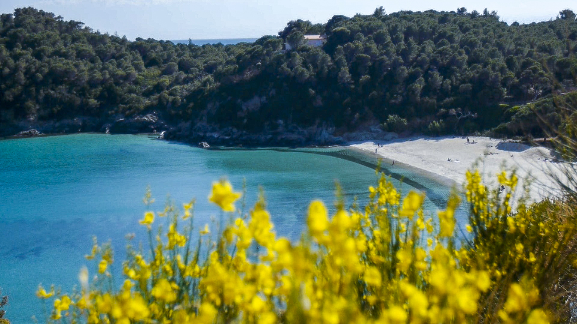 Immagini Spot 2020 1