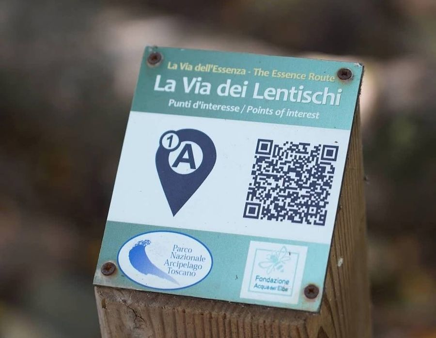 via dei lentischi qr code